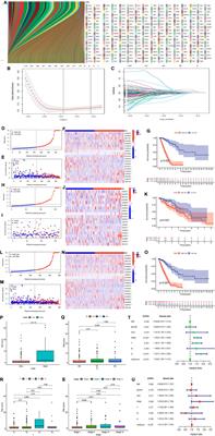 Prognostic model and immunotherapy prediction based on molecular chaperone-related lncRNAs in lung adenocarcinoma